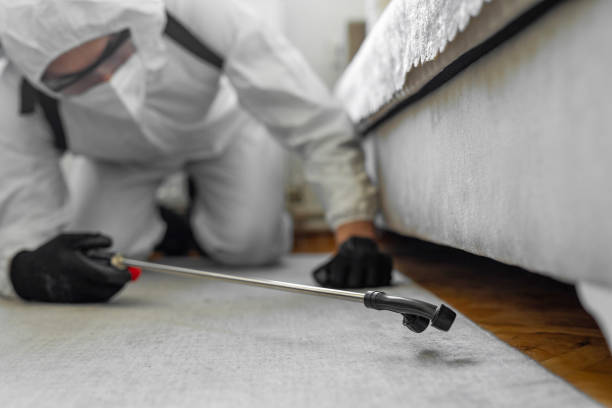 Professional Bed Bug Control technician working in Clarksville, TX