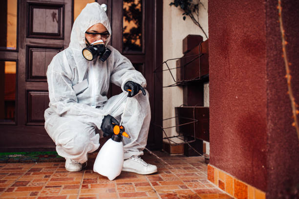 Reliable Bed Bug Control contractor in Clarksville, TX by Nex Pest Control